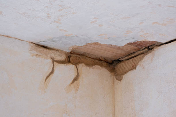 Best Water damage cleanup near me  in Shelby, NC
