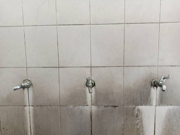 Best 24/7 water damage repair  in Shelby, NC