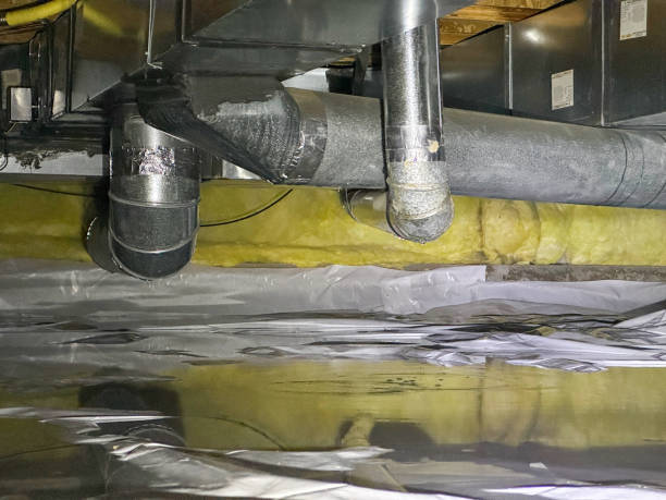 Best Professional water damage repair  in Shelby, NC