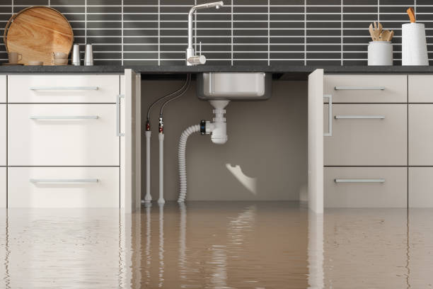 Best Commercial water damage restoration  in Shelby, NC